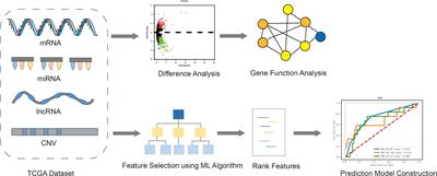 Predicting recurrence and metastasis risk of endometrial carcinoma via prognostic signatures identified from multi-omics data
